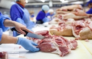 Employees for meat processing